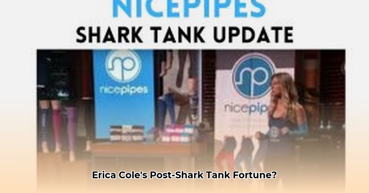 erica-cole-no-limbits-net-worth